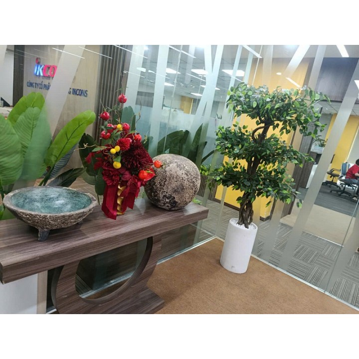 Cây Sanh bonsai nhân tạo